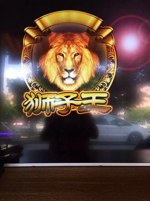 運城獅子王12門帶莊閑和游戲機廠家圖片_高清圖_細節圖-廣州市番禺區東環雅慧立化妝品店 -